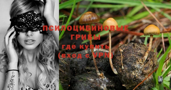 винт Абинск