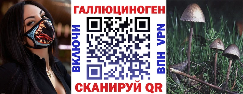 Псилоцибиновые грибы MAGIC MUSHROOMS  продажа наркотиков  Новоалександровск 