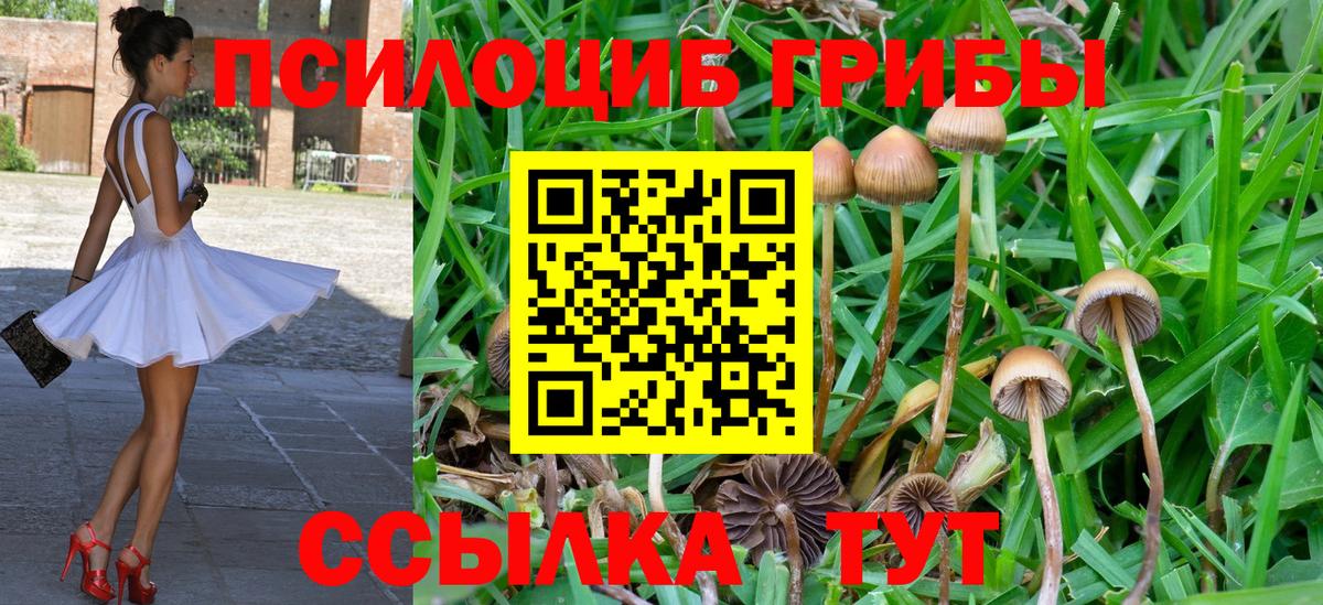 Псилоцибиновые грибы Cubensis  Псилоцибиновые грибы ЛСД  Новоалександровск  Вход с VPN 
