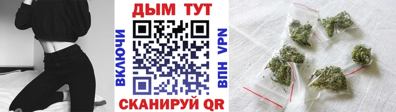 Конопля Bruce Banner Новоалександровск