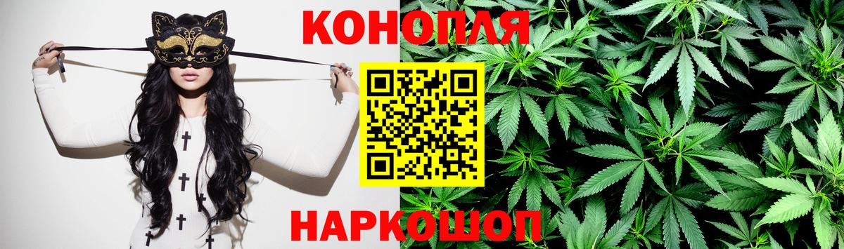 Псилоцибиновые грибы Новоалександровск